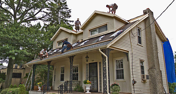 Best Flat Roof Repair Services  in Meridian, CO
