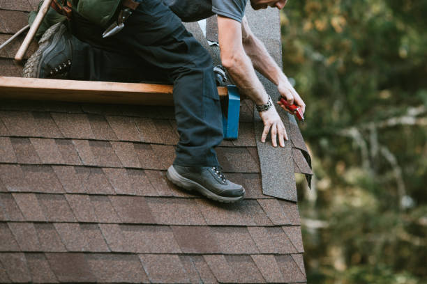Best Metal Roofing Contractor  in Meridian, CO